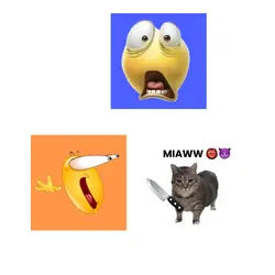 the cat is very cute