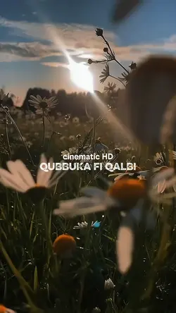 Qubbuka fi Qalbi