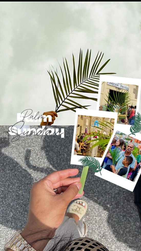 Palm Sunday Aestetic
