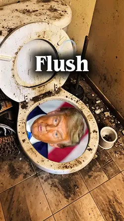 Skibidi Flush