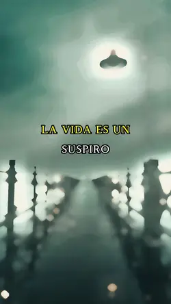 reflexiones