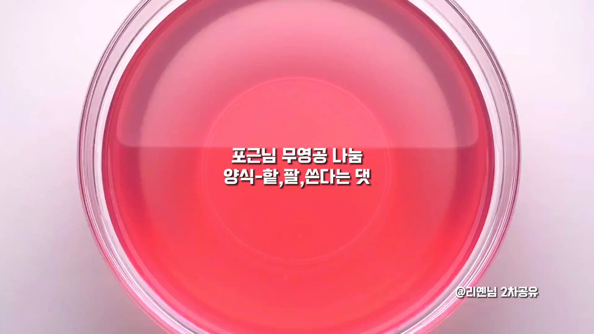 포근님 무영공 리옍님 2차공유 
