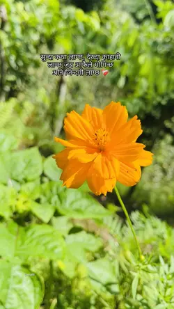 आफै भोगिन्छ अनि जिन्दगी लाग्छ 🥺❤️