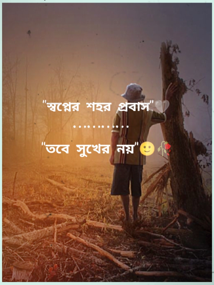 প্রবাস সুখের নয়