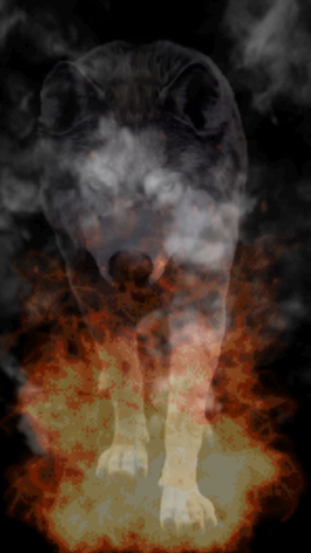 Cover Picture