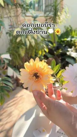 แม่แบบของแต่งบ้าน