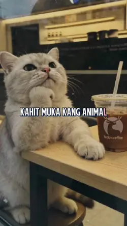 Funny Song