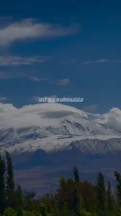 SAYGIYI HAK EDENE