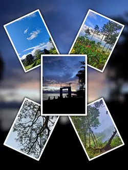 5Pic Trend