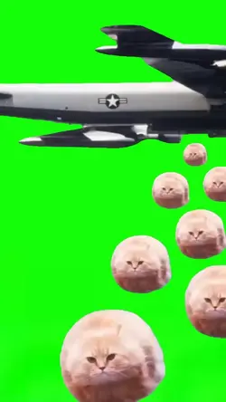 Spinning Flying Cats