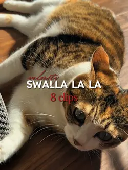 Swalla la la 