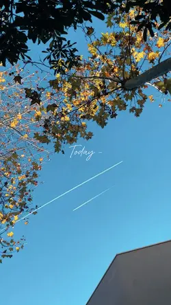Minivlog 