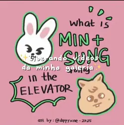 Minsung liberado