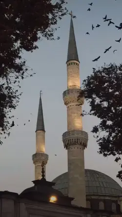 salam maulidur rasul