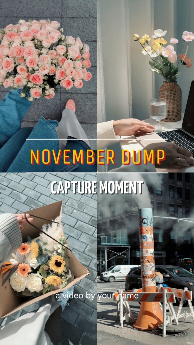 NOVEMBER DUMP