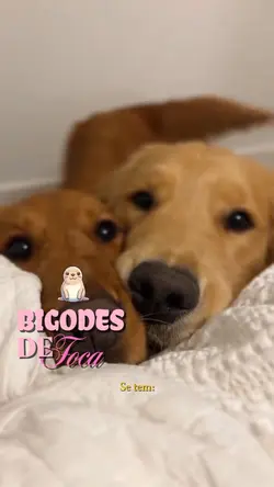 É tão lindo
