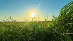 Chill nhẹ nhàng