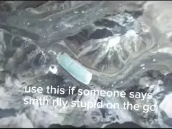 Rlly Stupid Freind