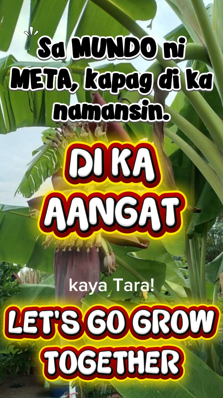 AYO TUMBUH