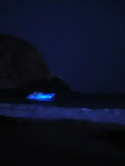 Хотел сказать lyrics