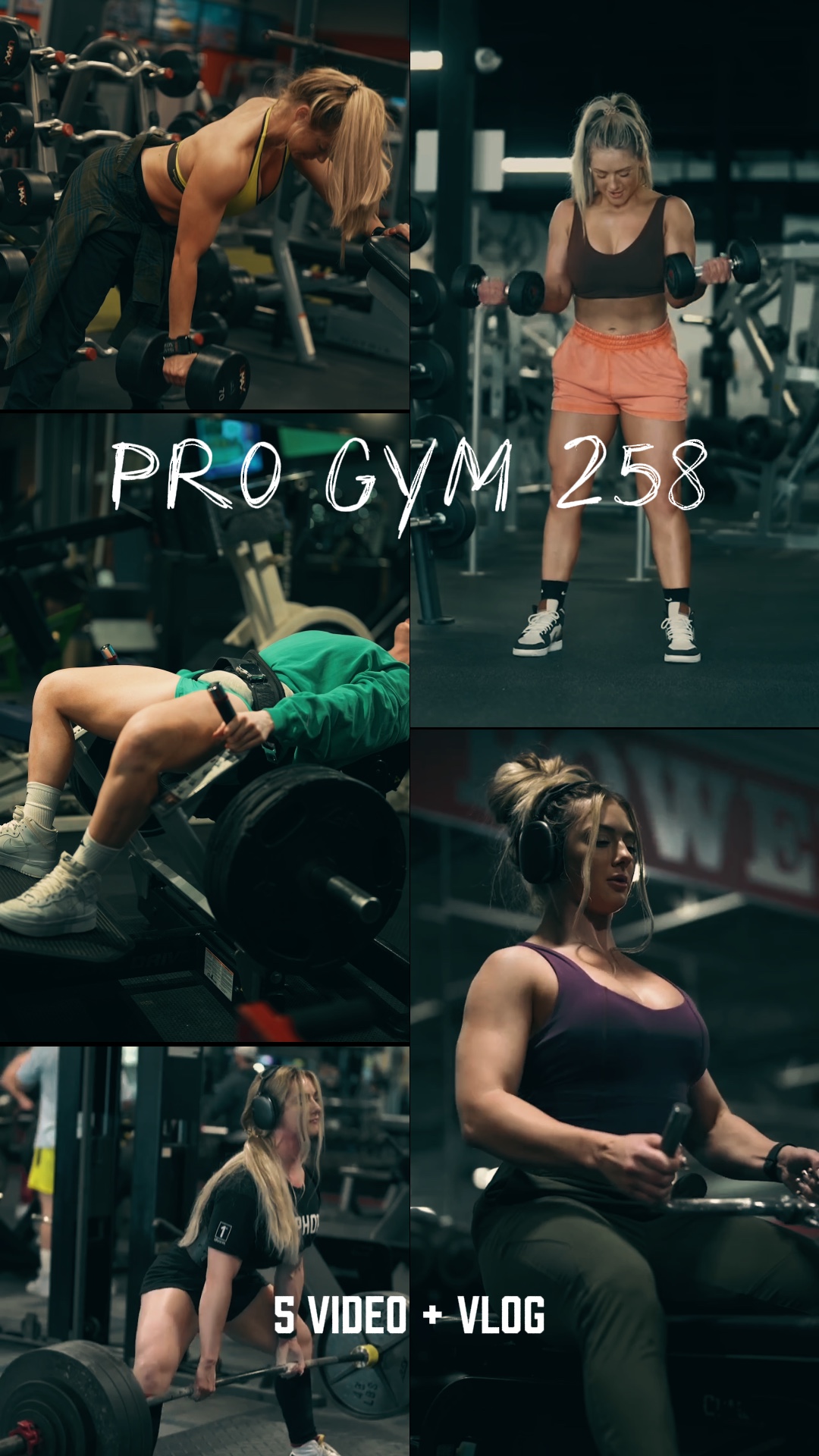 PRO GYM | 5 VIDEO