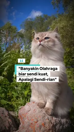banyakin olahraga 