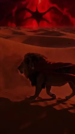 bravo viva morocco