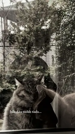 jangan dilupakan aku