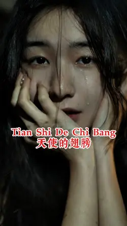 Tian Shi De Chi Bang