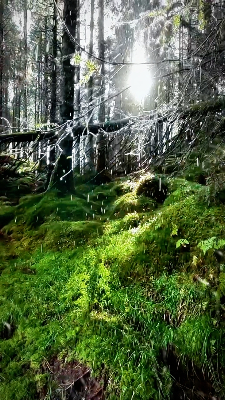 RAIN