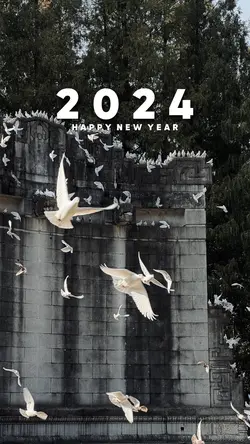 2018-2024