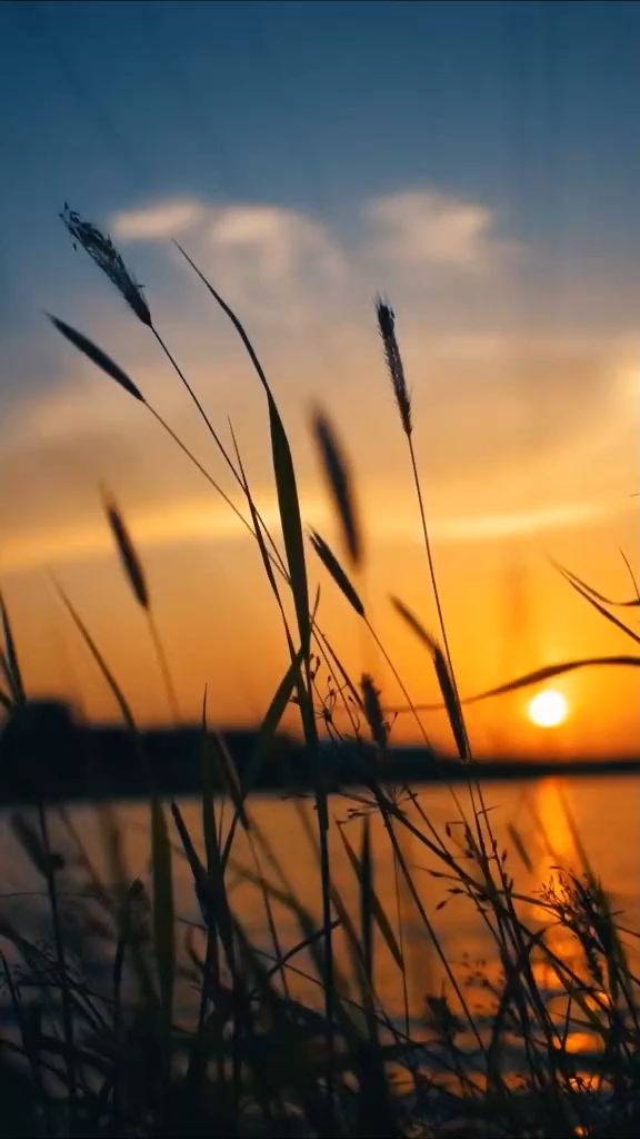 Nature Vibes