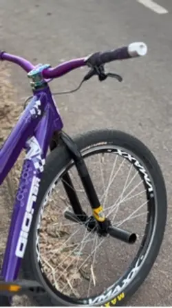 Edit de bike