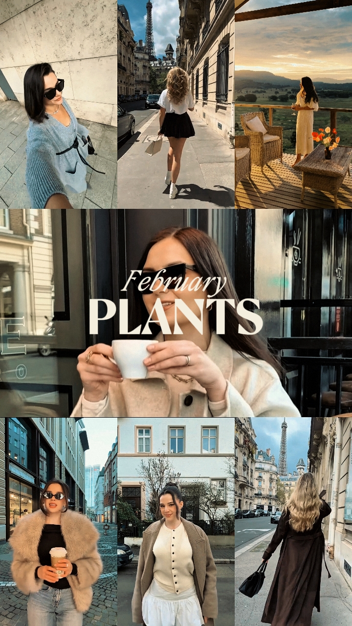Plantas de febrero 