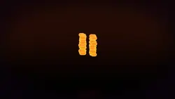 intro profile 