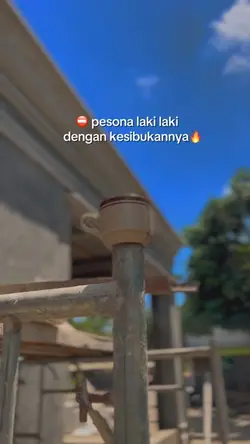 Pesona laki laki