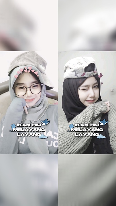 IKAN HIU MELAYANG 