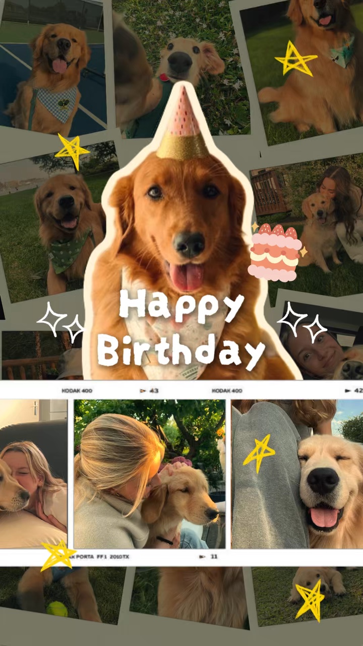 Joyeux anniversaire chien