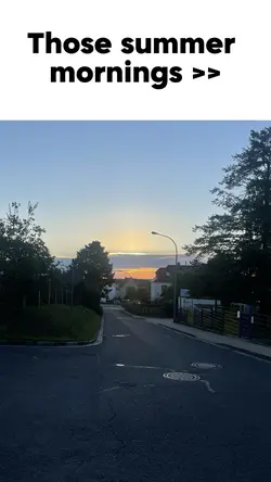 Summer mornings 