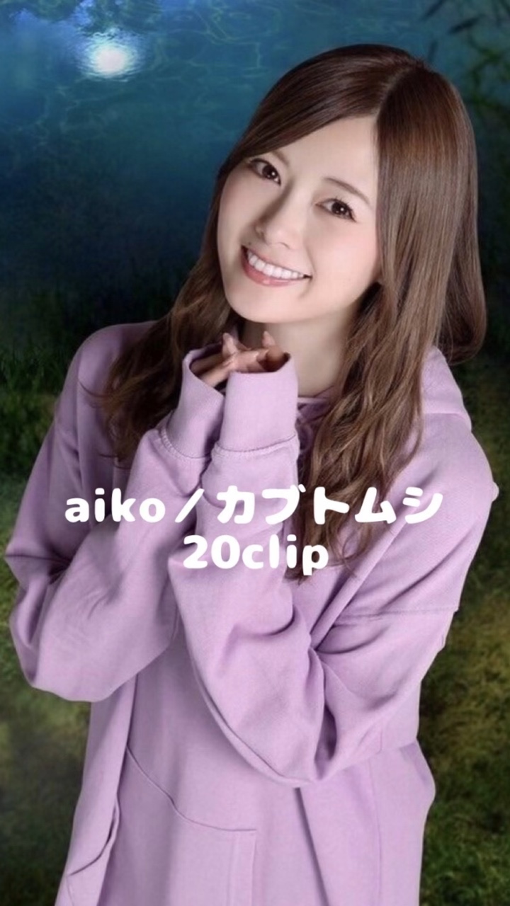 aiko／カブトムシ