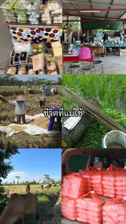 ชีวิตที่แม่ใช้-ชีวิตที่แม่ให้
