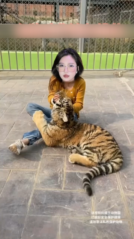 ¿Qué estás haciendo?