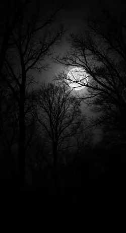 música internacional