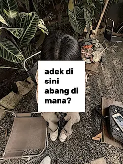 adek di sini