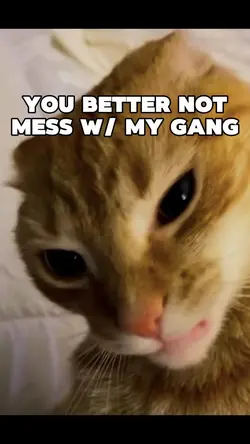 Dont mess around💀