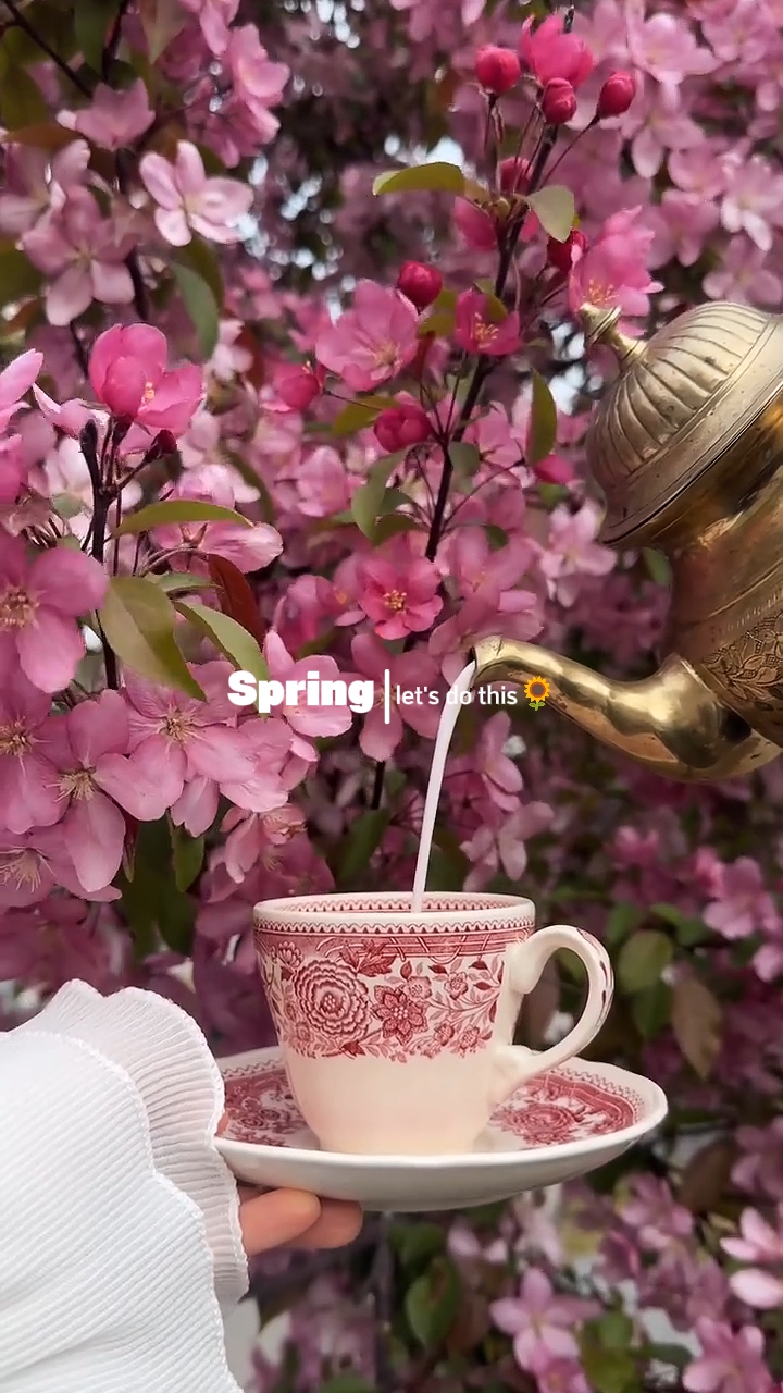 Hello spring 