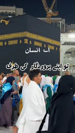 القرآن