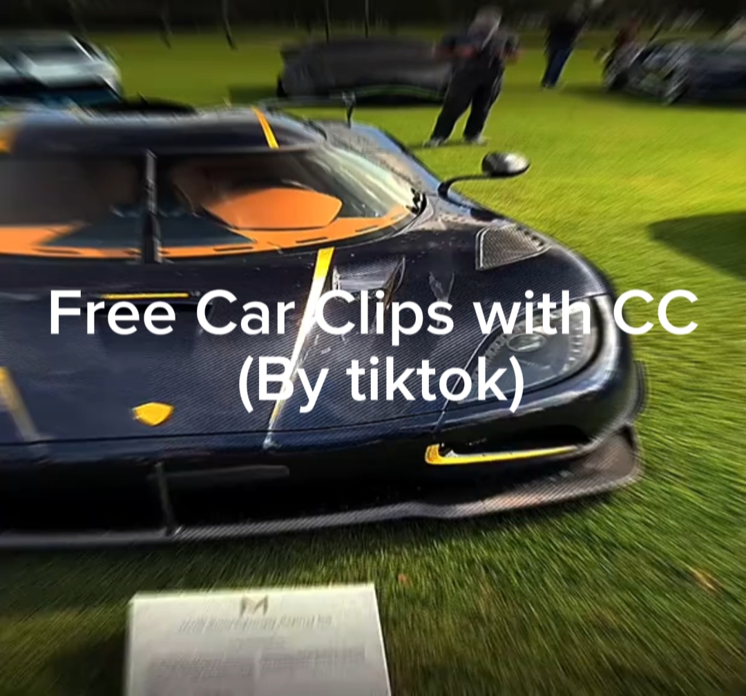 Car clips