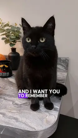Happy caturday!