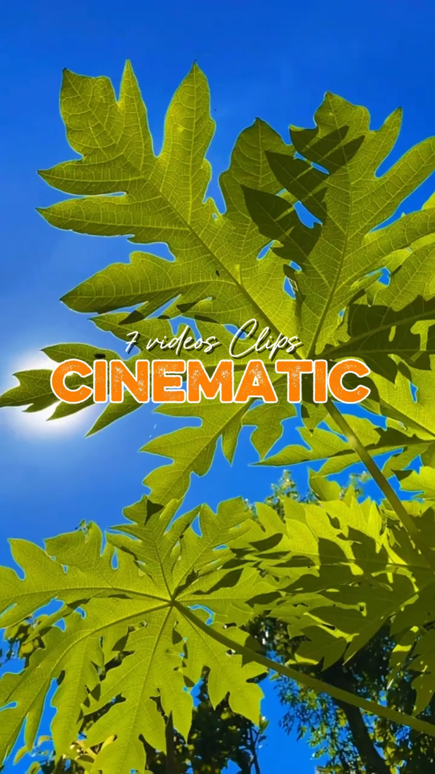 cinematic 7 videos 